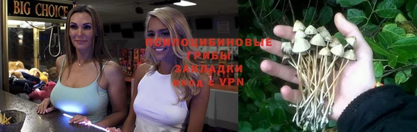 крисы Балабаново