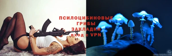 прущие крисы Балахна
