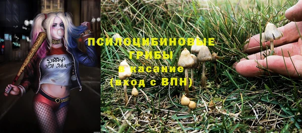 Альфа ПВП Баксан