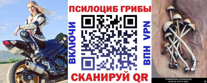 Псилоцибиновые грибы Magic Shrooms  kraken как зайти  Белокуриха  где купить наркоту 